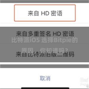 比特派iOS 选择Bitpie的原因，你知道吗？