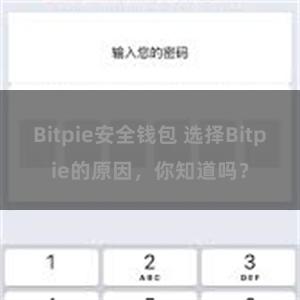 Bitpie安全钱包 选择Bitpie的原因，你知道吗？