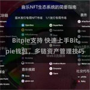 Bitpie支持 快速上手Bitpie钱包，多链资产管理技巧