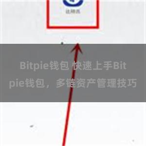 Bitpie钱包 快速上手Bitpie钱包，多链资产管理技巧