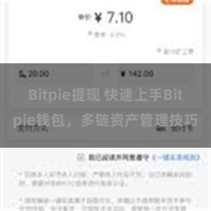 Bitpie提现 快速上手Bitpie钱包，多链资产管理技巧