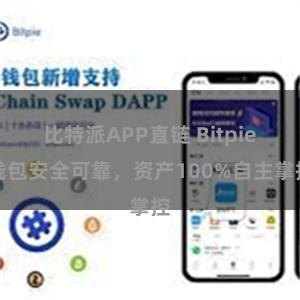 比特派APP直链 Bitpie钱包安全可靠，资产100%自主掌控