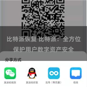 比特派恢复 比特派：全方位保护用户数字资产安全