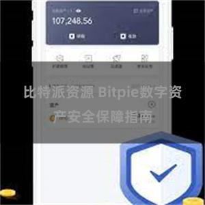 比特派资源 Bitpie数字资产安全保障指南