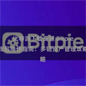 比特派下载资源 Bitpie钱包操作指南：多链资产管理攻略