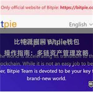 比特派官网 Bitpie钱包操作指南：多链资产管理攻略