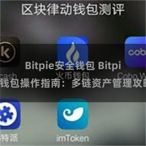 Bitpie安全钱包 Bitpie钱包操作指南：多链资产管理攻略