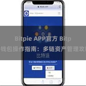 Bitpie APP官方 Bitpie钱包操作指南：多链资产管理攻略