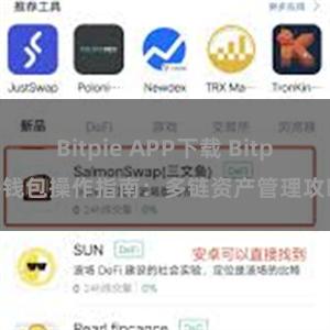 Bitpie APP下载 Bitpie钱包操作指南：多链资产管理攻略