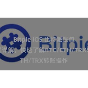 Bitpie iOS 比特派钱包转账教程详解，快速了解BTC/ETH/TRX转账操作