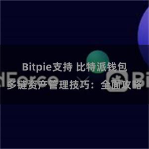 Bitpie支持 比特派钱包多链资产管理技巧：全面攻略