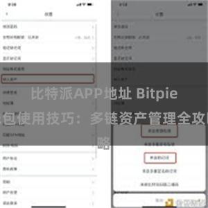 比特派APP地址 Bitpie钱包使用技巧：多链资产管理全攻略