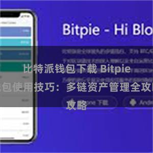 比特派钱包下载 Bitpie钱包使用技巧：多链资产管理全攻略