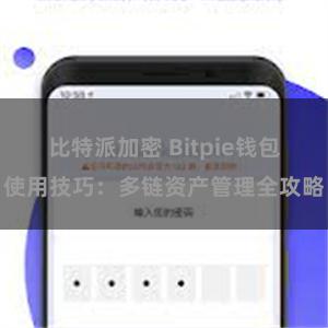 比特派加密 Bitpie钱包使用技巧：多链资产管理全攻略