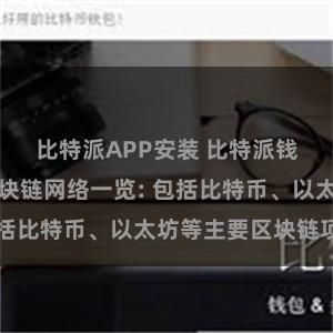 比特派APP安装 比特派钱包支持的区块链网络一览: 包括比特币、以太坊等主要区块链项目