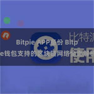 Bitpie APP备份 Bitpie钱包支持的区块链网络全面解析