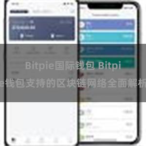 Bitpie国际钱包 Bitpie钱包支持的区块链网络全面解析