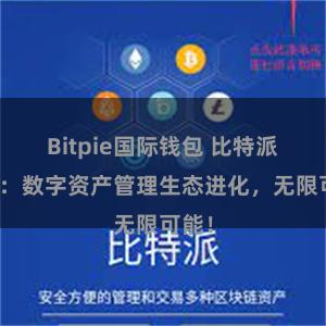 Bitpie国际钱包 比特派钱包：数字资产管理生态进化，无限可能！