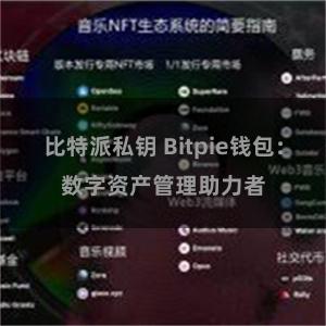 比特派私钥 Bitpie钱包：数字资产管理助力者