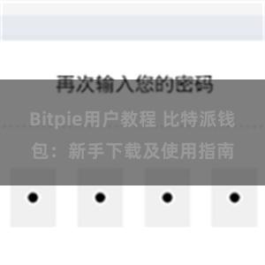 Bitpie用户教程 比特派钱包：新手下载及使用指南