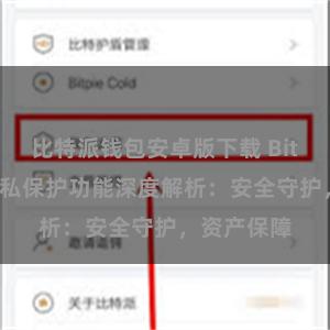 比特派钱包安卓版下载 Bitpie钱包隐私保护功能深度解析：安全守护，资产保障