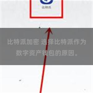 比特派加密 选择比特派作为数字资产钱包的原因。