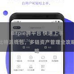 Bitpie跨平台 快速上手比特派钱包，多链资产管理全攻略