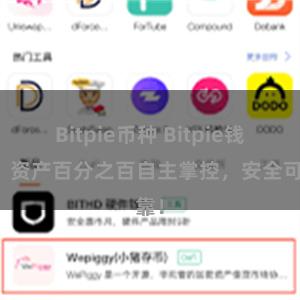 Bitpie币种 Bitpie钱包：资产百分之百自主掌控，安全可靠！