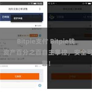 Bitpie支付 Bitpie钱包：资产百分之百自主掌控，安全可靠！