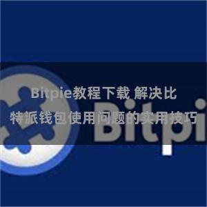 Bitpie教程下载 解决比特派钱包使用问题的实用技巧