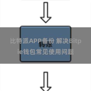 比特派APP备份 解决Bitpie钱包常见使用问题