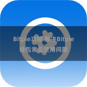 Bitpie功能 解决Bitpie钱包常见使用问题