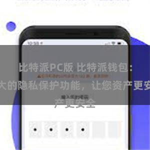 比特派PC版 比特派钱包：强大的隐私保护功能，让您资产更安全