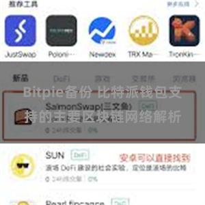 Bitpie备份 比特派钱包支持的主要区块链网络解析