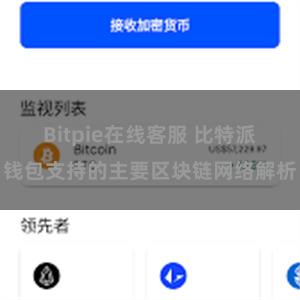 Bitpie在线客服 比特派钱包支持的主要区块链网络解析