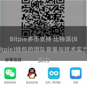 Bitpie多币支持 比特派(Bitpie)钱包的团队背景与技术实力