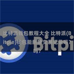 比特派钱包教程大全 比特派(Bitpie)钱包能删除交易记录吗？