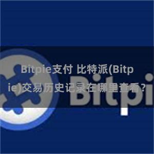 Bitpie支付 比特派(Bitpie)交易历史记录在哪里查看？