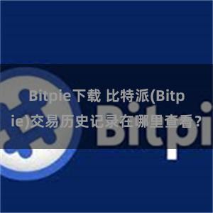 Bitpie下载 比特派(Bitpie)交易历史记录在哪里查看？