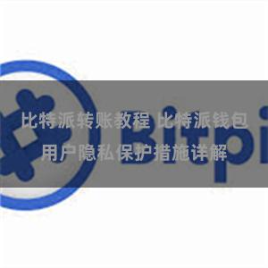 比特派转账教程 比特派钱包用户隐私保护措施详解