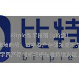 Bitpie新手指南 比特派(Bitpie)钱包市场趋势：数字资产存储领域领先者持续发展。